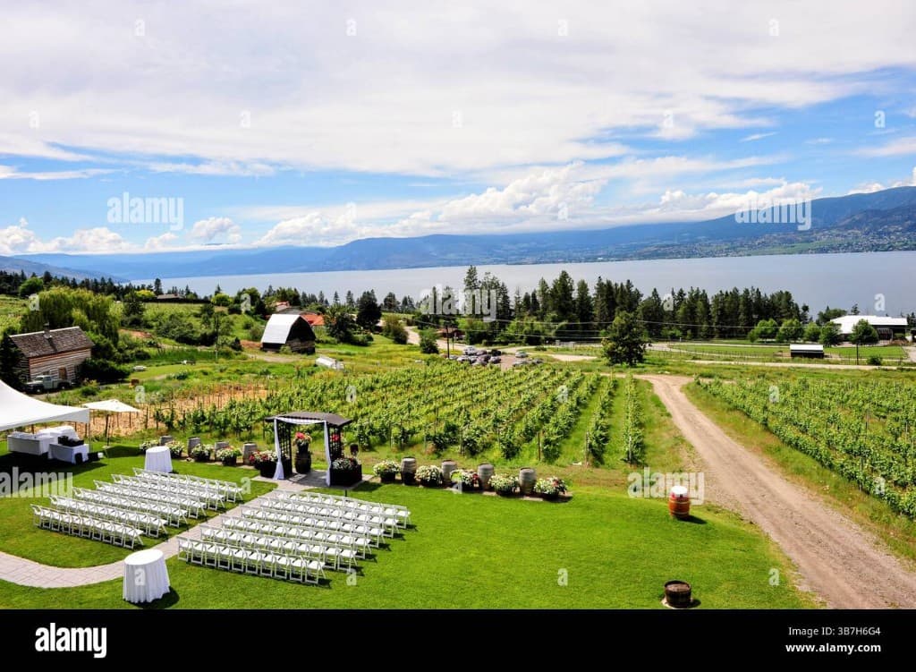 Outdoor wedding ceremony at an Okanagan vineyard overlooking the lake and mountains